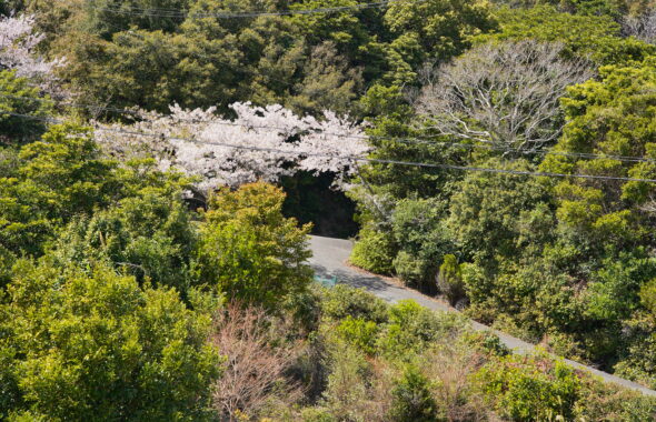 DSC00040